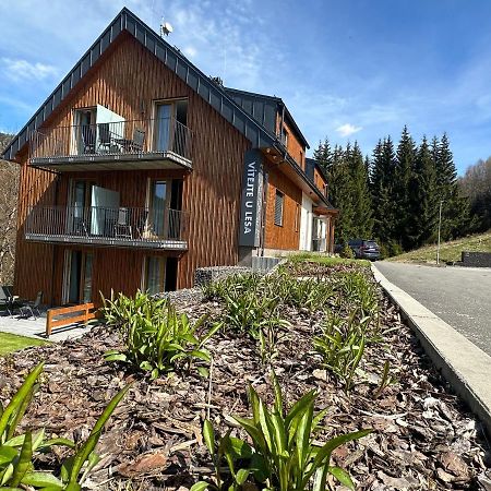 Apartmany U Lesa Dolní Morava المظهر الخارجي الصورة