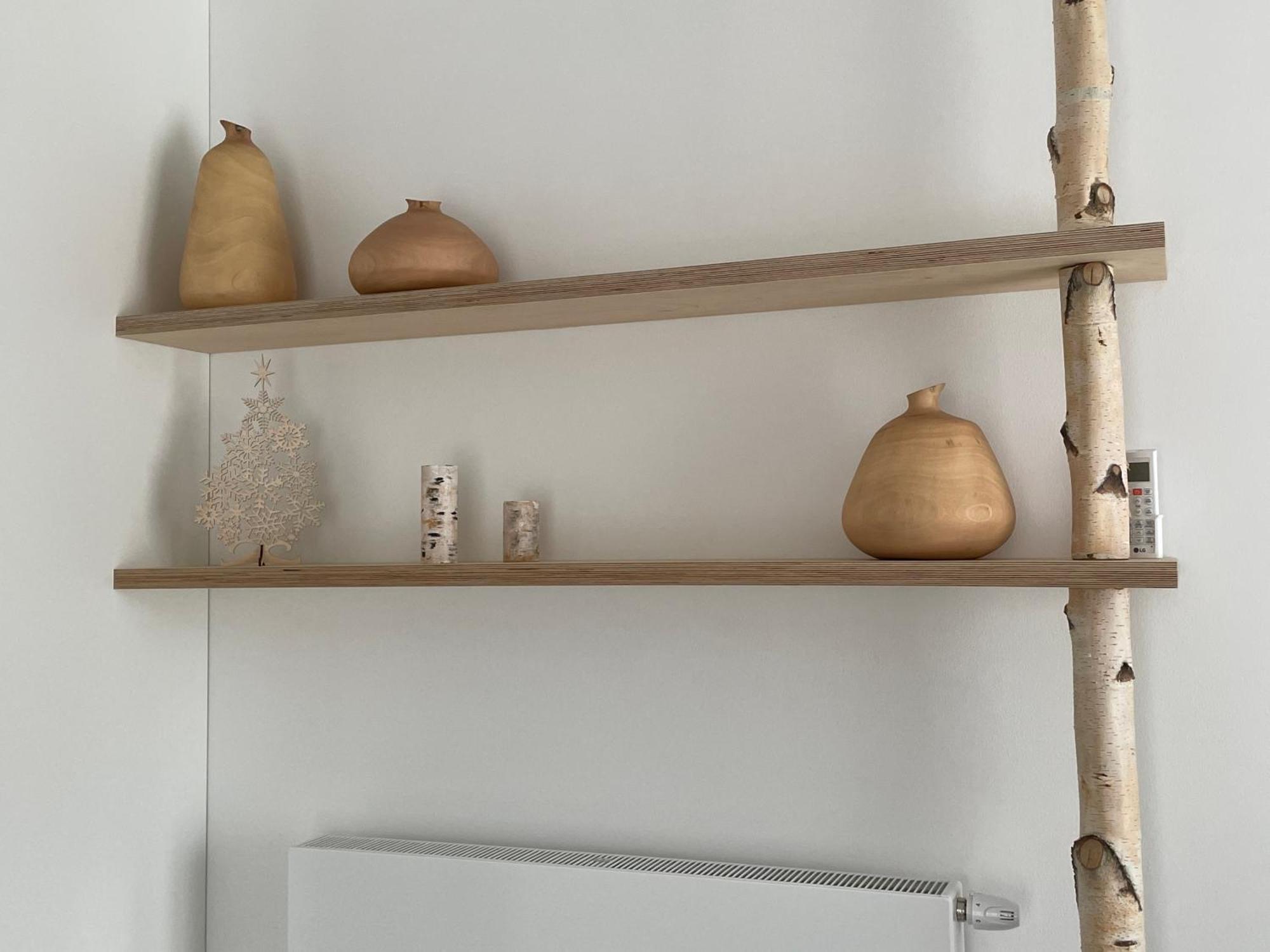 Apartmany U Lesa Dolní Morava الغرفة الصورة