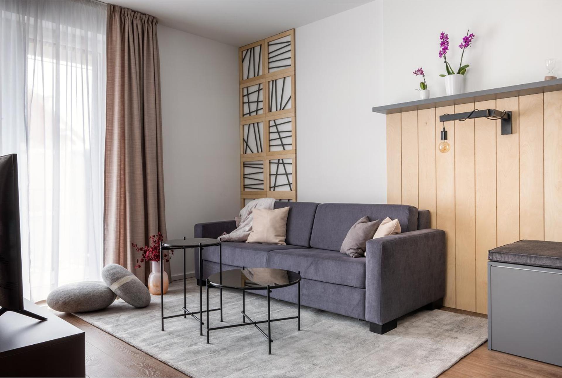 Apartmany U Lesa Dolní Morava الغرفة الصورة